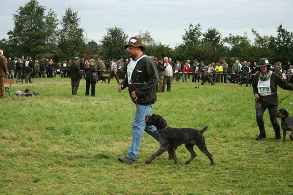 hegewald-2013-großefehn/ulbargen