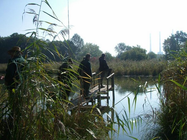 vgp ernsgaden 2008