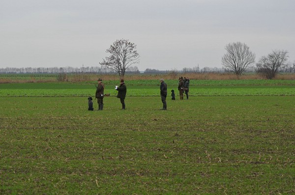 zep 24.11.2013 stronsdorf-weinviertel