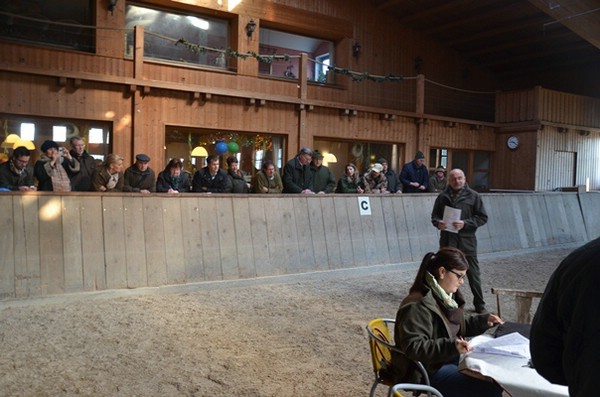 zuchtschau-23.02.2014-wolnzach