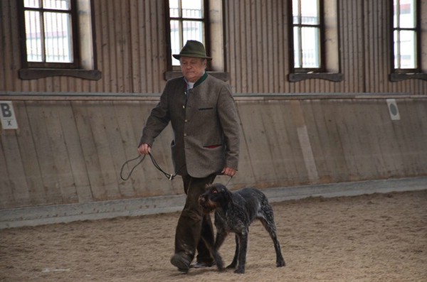 zuchtschau-23.02.2014-wolnzach
