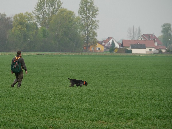 vjp-05.04.2014-aschelsried