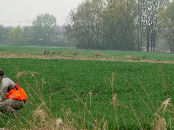 vjp-05.04.2014-aschelsried
