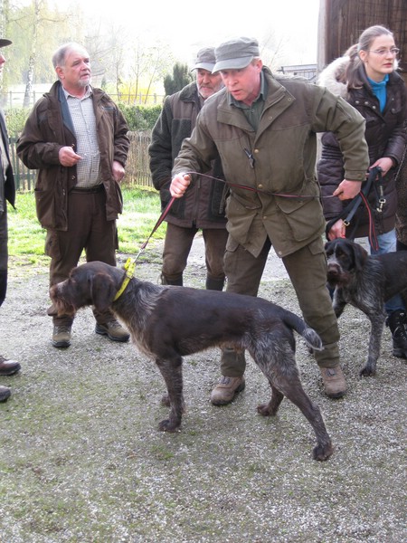vjp-12.04.2014-tettenweis