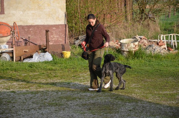 vjp-12.04.2014-tettenweis