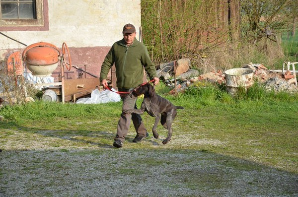 vjp-12.04.2014-tettenweis