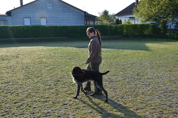 vjp-26.04.2014 haidlfing