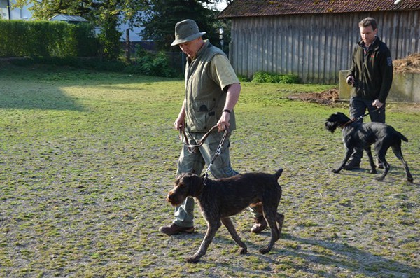 vjp-26.04.2014 haidlfing