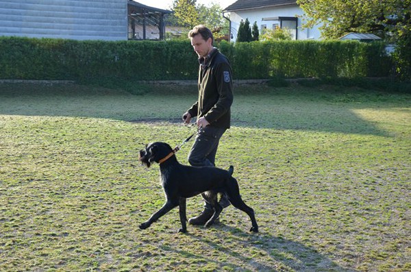 vjp-26.04.2014 haidlfing