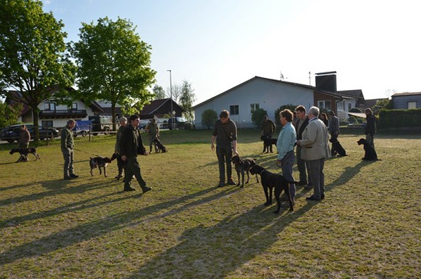 vjp-26.04.2014 haidlfing