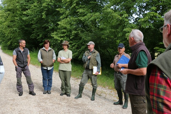 vswp/vfsp21.06.2014kelheim