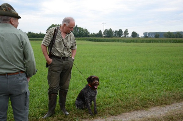 wasserübungstag-09.08.2014-parkstetten