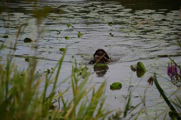wasserübungstag-09.08.2014-parkstetten