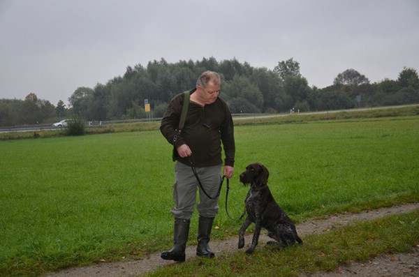 hzp-27.09.2014-parkstetten_1
