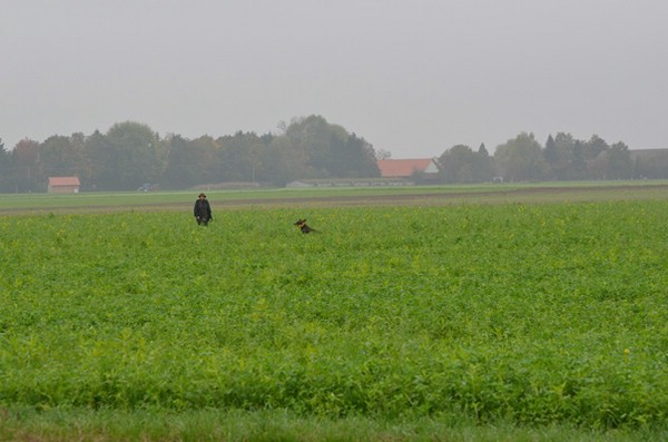 vgp-2014-iggensbach_3