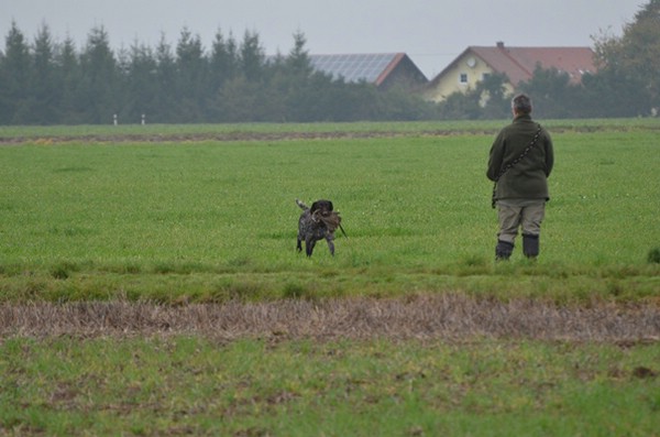 vgp-2014-iggensbach_7