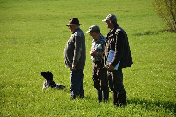vgp-2014-iggensbach_10