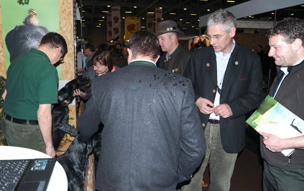 messe-aug-2015_6
