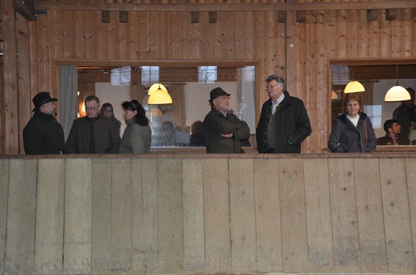 zuchtschau-15.02.2015-wolnzach_7