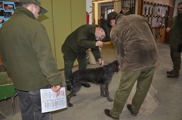 zuchtschau-15.02.2015-wolnzach_17