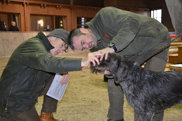 zuchtschau-15.02.2015-wolnzach_18