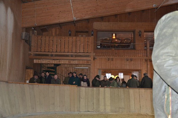 zuchtschau-15.02.2015-wolnzach_19