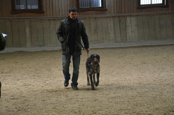 zuchtschau-15.02.2015-wolnzach_42
