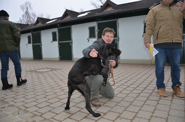 zuchtschau-15.02.2015-wolnzach_35