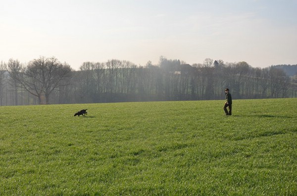 vjp-11.04.2015-tettenweis_1