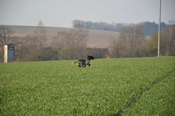 vjp-11.04.2015-tettenweis_3