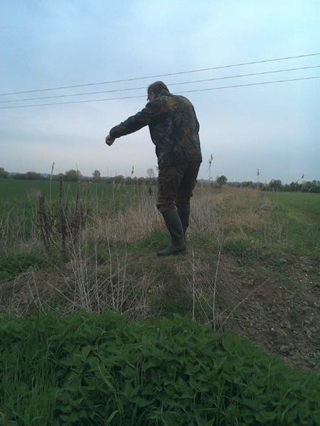 vjp-haidlfing-2016_2