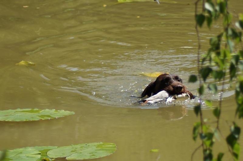 Wasserübungstag 2019 Isen_8