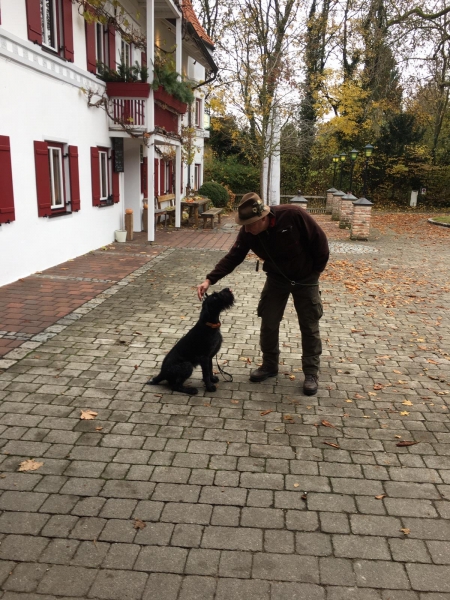 Zuchtschau 2021 Grucking_7
