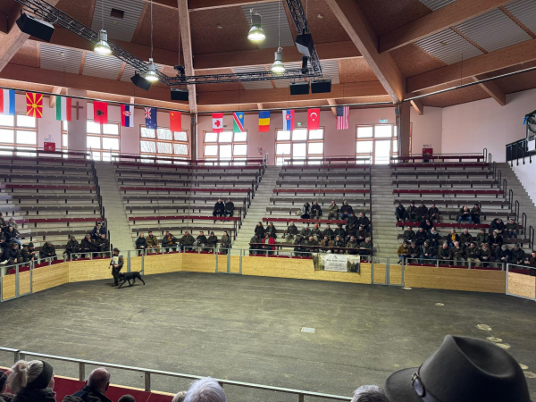 100 Jahre VDD Südbayern und Zuchtrüdenvorstellung_17