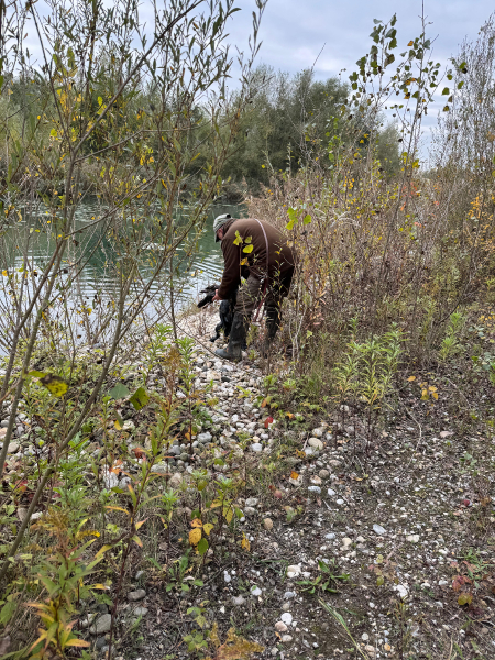 VGP Iggensbach 2025_2