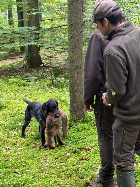 VGP Iggensbach 2025_8