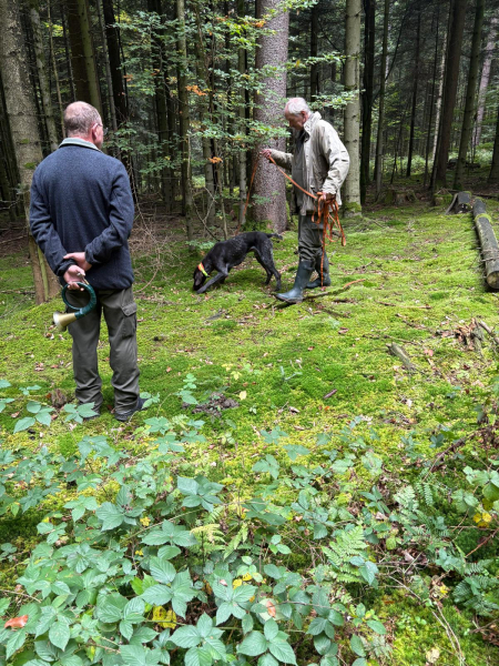 VGP Iggensbach 2025_13