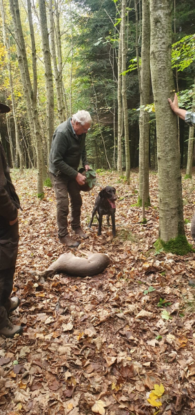 VGP Iggensbach 2025_15