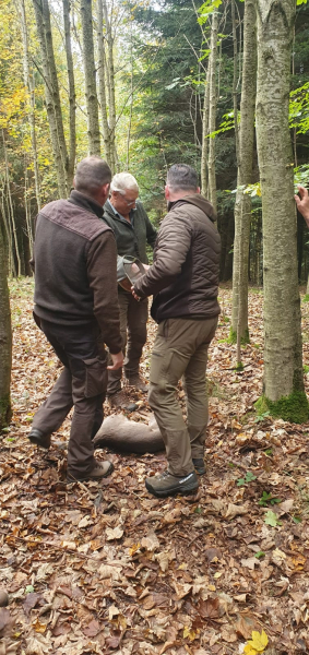 VGP Iggensbach 2025_16