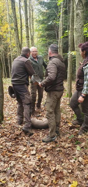 VGP Iggensbach 2025_18