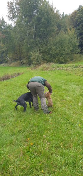 VGP Iggensbach 2025_23