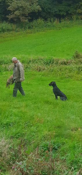 VGP Iggensbach 2025_33