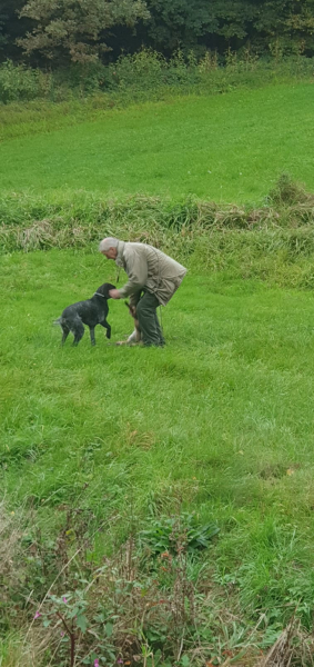 VGP Iggensbach 2025_34