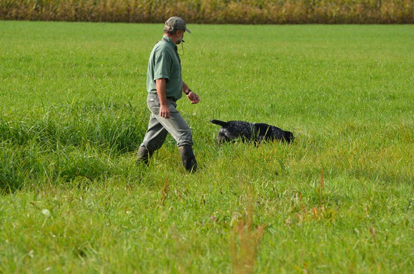 hzp 17.09.2011 aschelsried