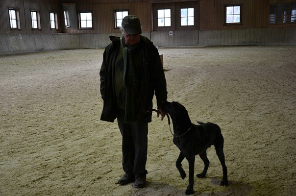 zuchtschau-19.02.2012-wolnzach