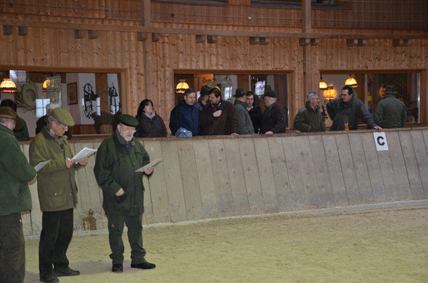 zuchtschau-19.02.2012-wolnzach