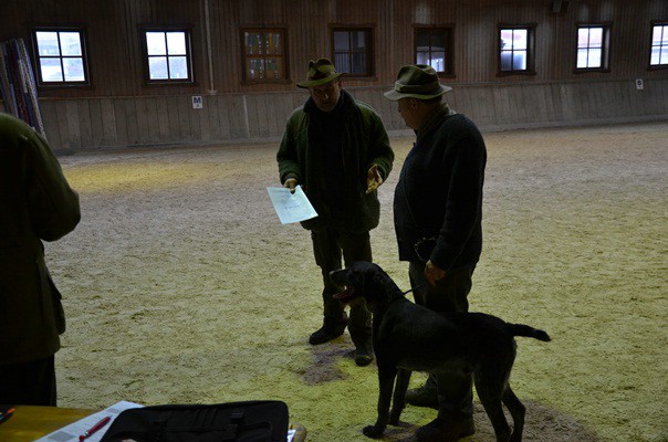 zuchtschau-19.02.2012-wolnzach