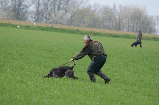 vjp 14.04.2012 Tettenweis