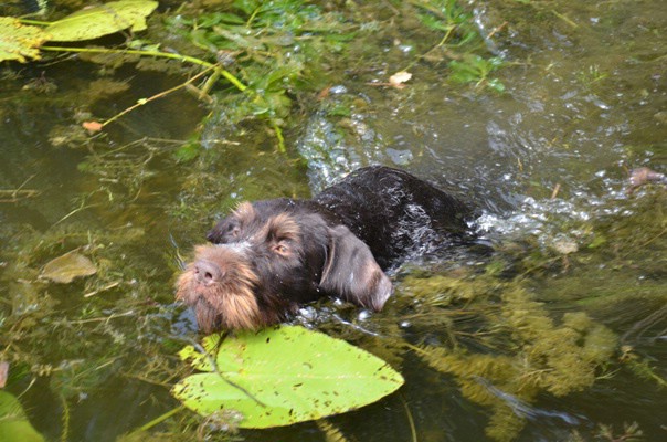 hegewaldtest 05.08.2012