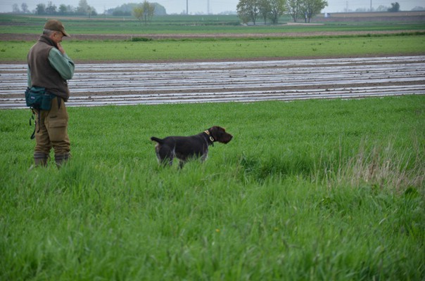 vjp 27.04.2014haidlfing